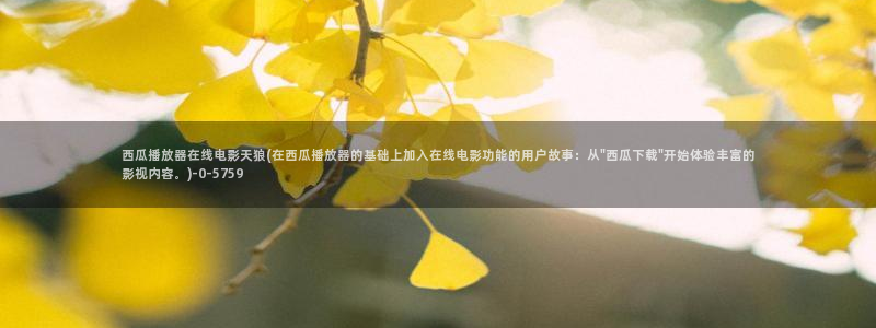 西瓜电影免费观看高清在线播放