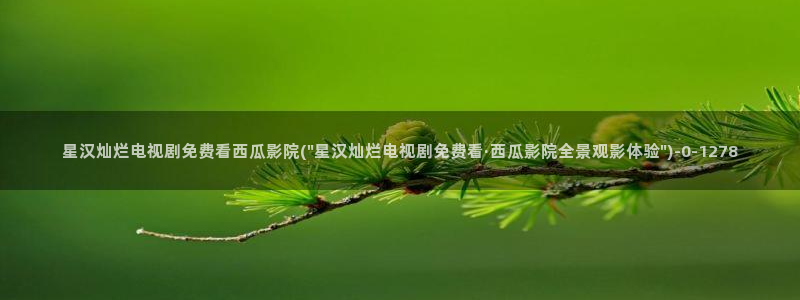 西瓜影院大全免费观看