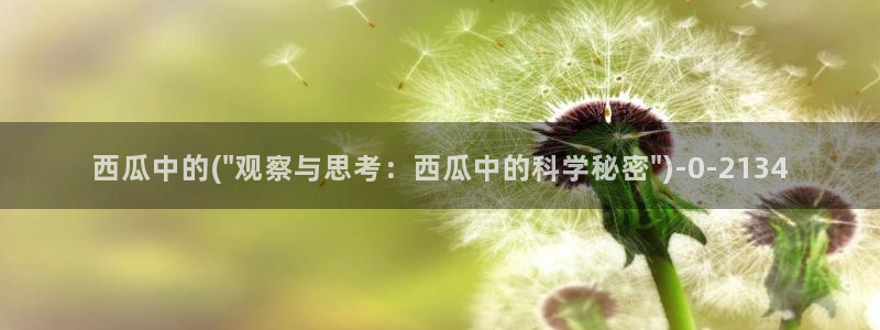 西瓜影院2021最新电视剧在线观看