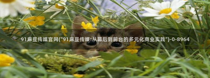 麻豆视频 推荐下载：91麻豆传媒官网(\