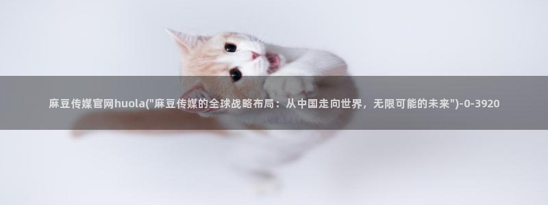 麻豆视频 在线看专区：麻豆传媒官网huola(\