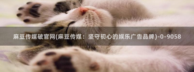 麻豆视频入口更新：麻豆传媒破官网(麻豆传媒：坚守