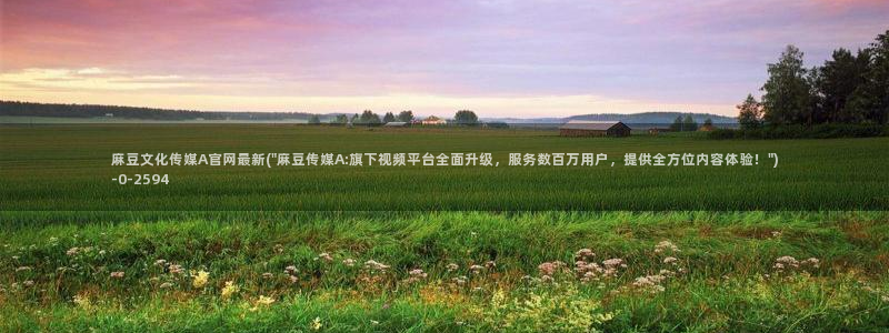 麻豆视频 图集专区：麻豆文化传媒A官网最新(\