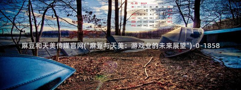 麻豆视频 系列：麻豆和天美传媒官网(\