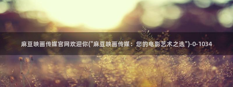 麻豆视频 合集更新：麻豆映画传媒官网欢迎你(\