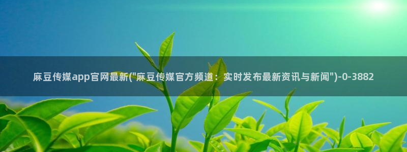 麻豆视频高清整理：麻豆传媒app官网最新(\