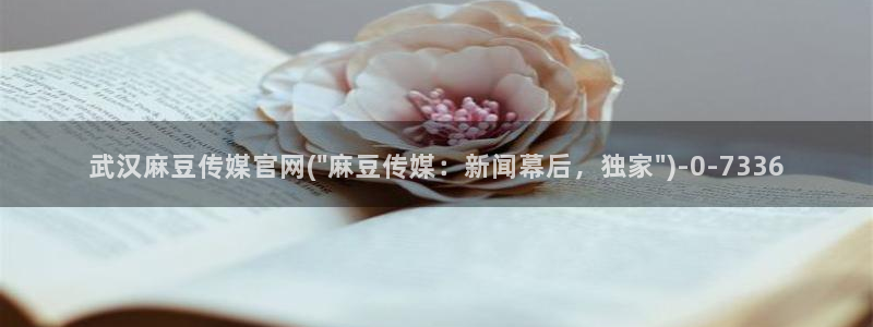 麻豆视频图集在线看：武汉麻豆传媒官网(\