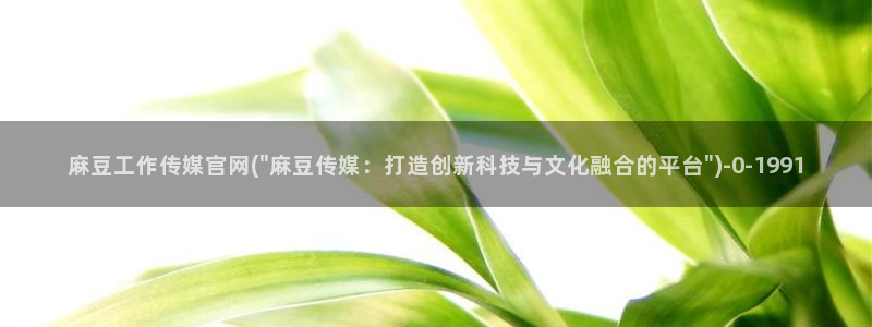 麻豆视频 内容视频：麻豆工作传媒官网(\