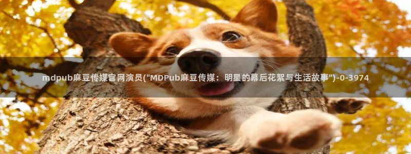 麻豆 合集下载：mdpub麻豆传媒官网演员(\
