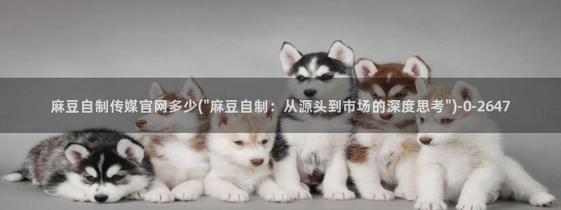 麻豆视频短片高清：麻豆自制传媒官网多少(\