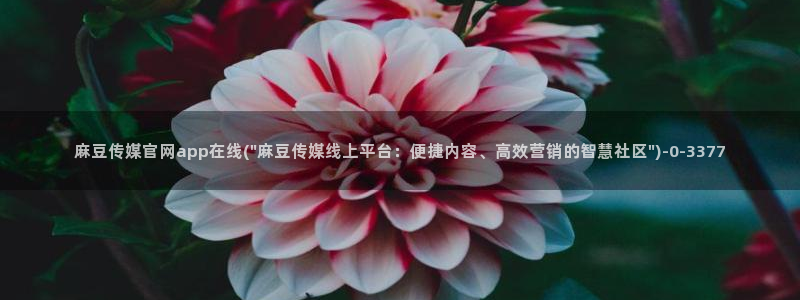 麻豆视频高清资源：麻豆传媒官网app在线(\