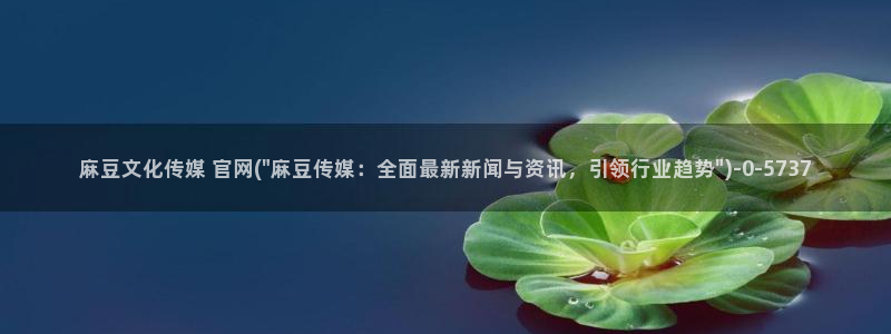 麻豆视频 短片资源：麻豆文化传媒 官网(\