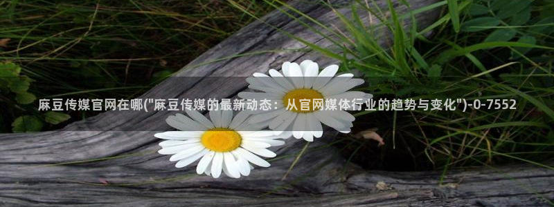 麻豆视频 热门最新：麻豆传媒官网在哪(\