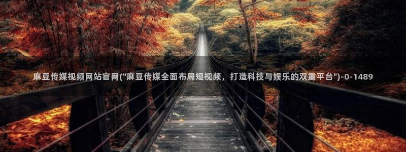 麻豆视频 专区导航：麻豆传媒视频网站官网(\