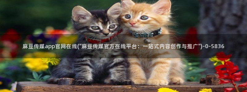 麻豆官方页面：麻豆传媒app官网在线(\
