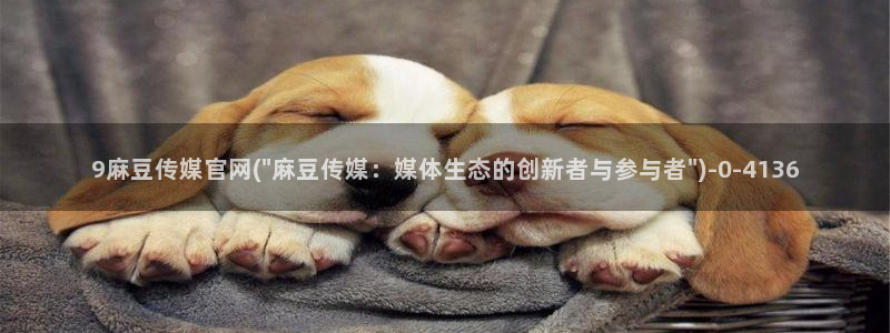 麻豆视频官方