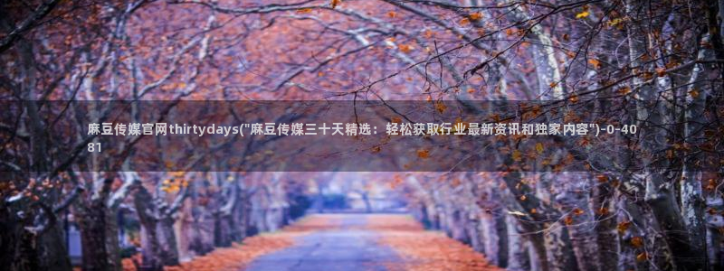 麻豆 完整版导航