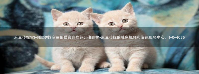 麻豆合集更新：麻豆传媒官网仙踪林(麻豆传媒官方推